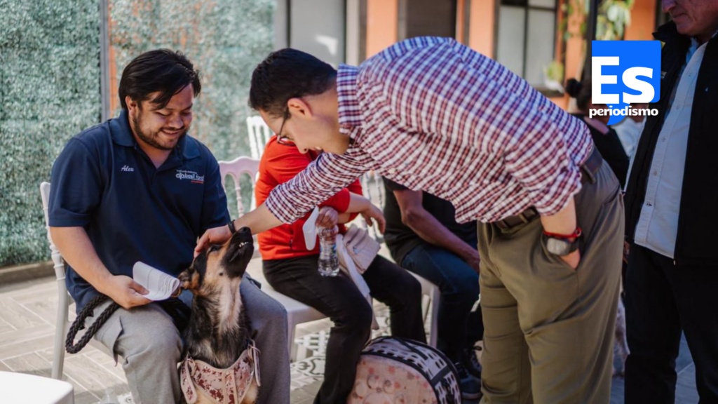 Más de 7 mil servicios veterinarios