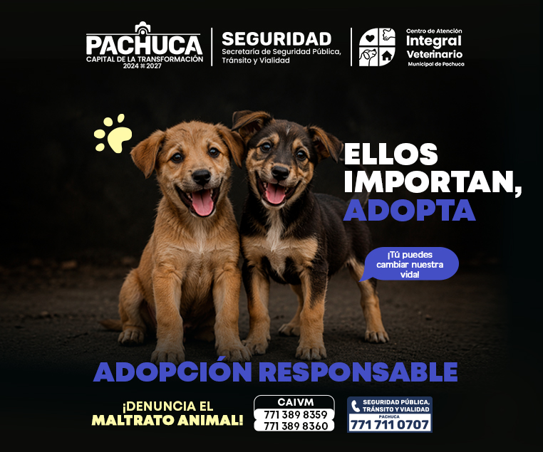 Adopta