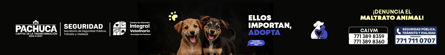 Adopta un Animal SuperBanner