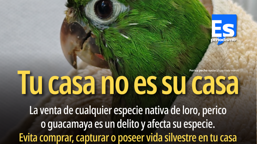 Profepa fortalece acciones para detectar