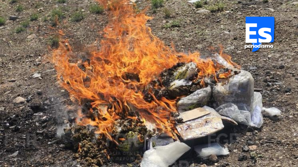 FGR incineró narcóticos y destruyó