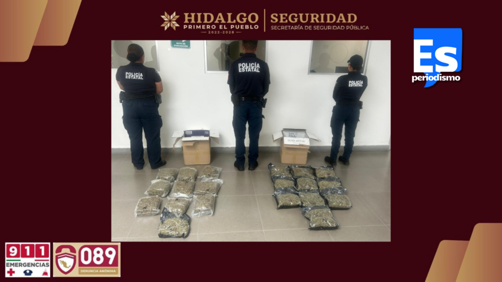 Interceptan paquetería de 10 kilos