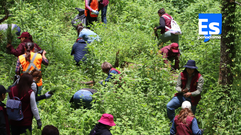 Plantaron 3 mil 500 árboles en el Parque