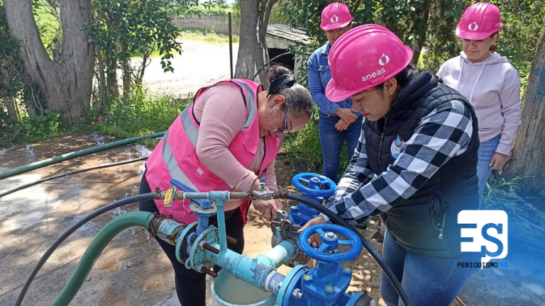 Cascos Rosas Hidalgo