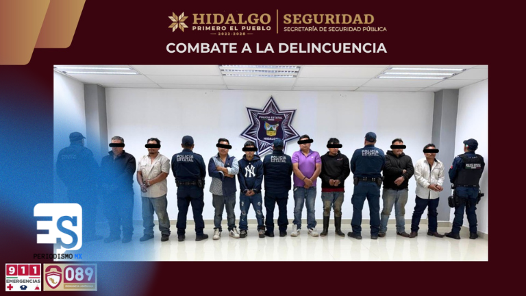 Detienen a ocho personas por tala