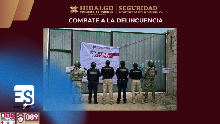 Recuperan 33 unidades robadas de