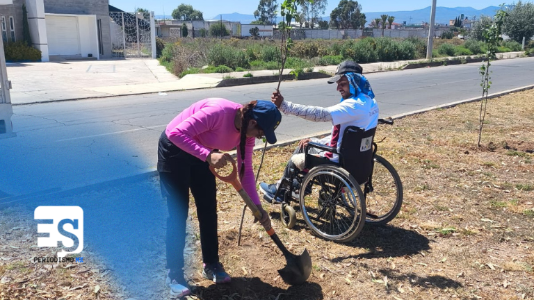 Plantando tejocote girasol dalia garbancillo