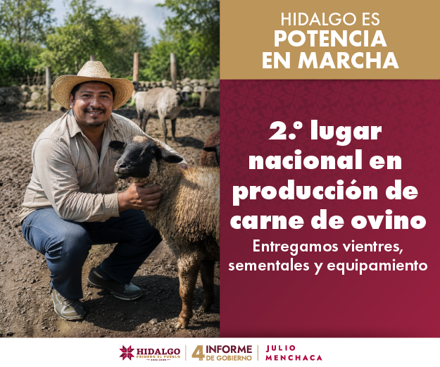 4to Informe de Gobierno
