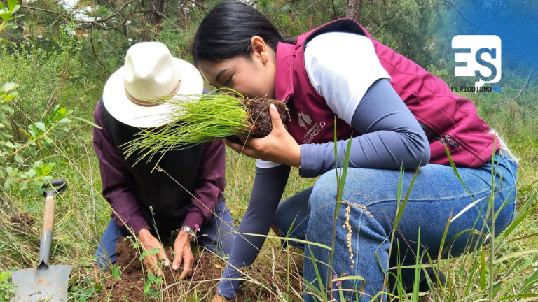 Reforestarán El Camaleón con 2 mil pinos