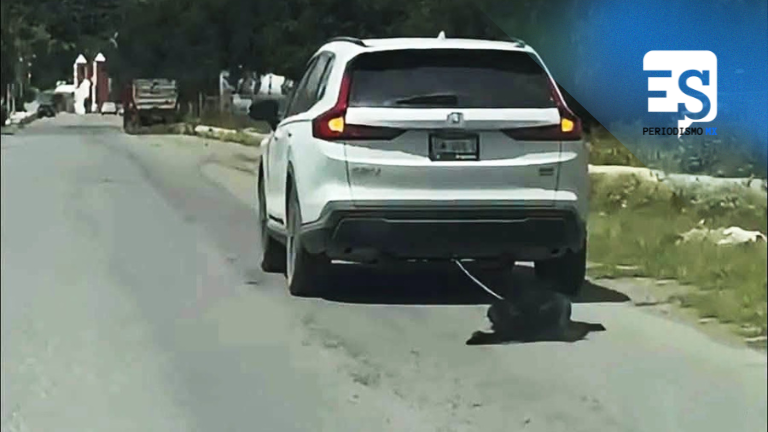 Perrito fue arrastrado amarrado