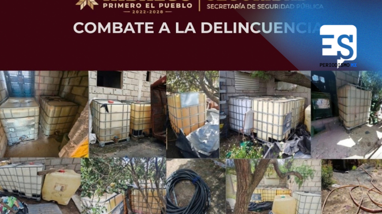 Aseguraron predio con 21
