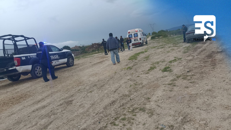Otro ataque de feroces perros