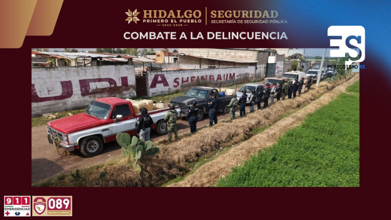 En operativo coordinado aseguraron 7