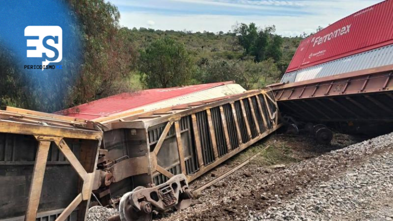 Descarriló tren
