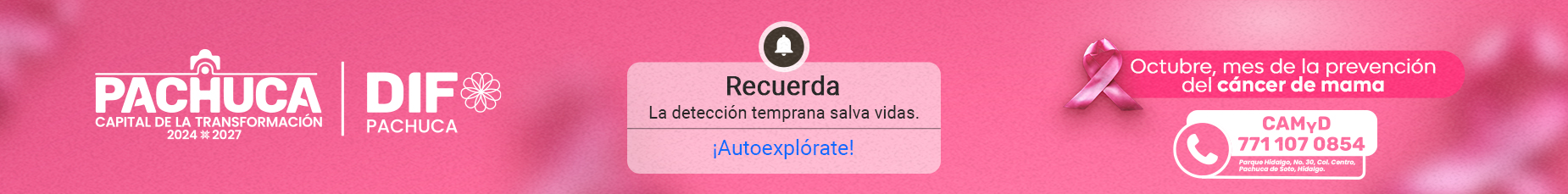 Octubre Rosa Banner 1