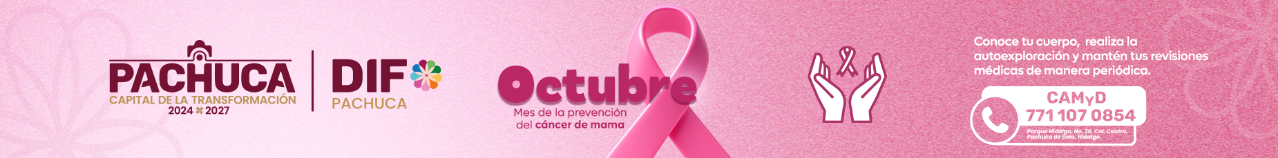 Octubre Rosa Banner 2