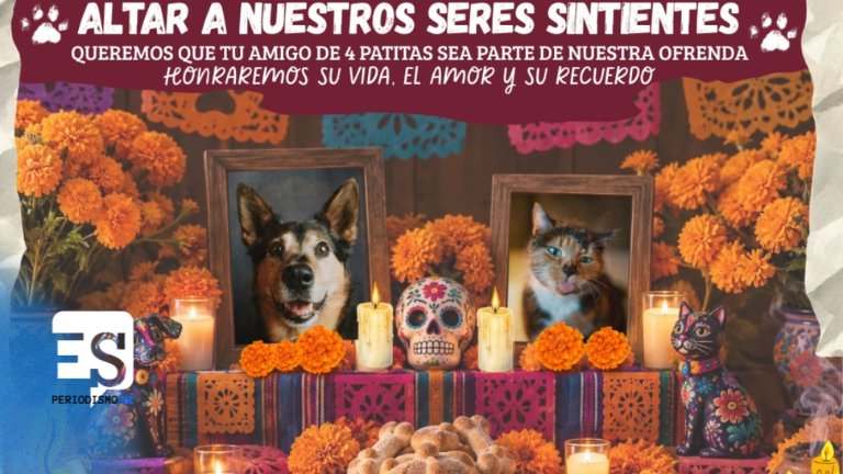 Tulancingo lleva el bienestar